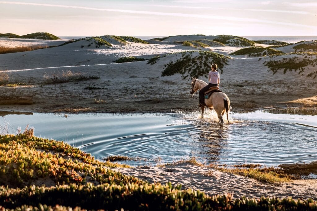 Best Horseback Riding in Canada: The 8 Best Trails 7 A woman dressed in white shirt and denim pants riding a white horse in a shallow pond, Grasses are growing from the land surrounding the pond. The South Algonquin Trail Ride is one of the best trails for horseback riding in Canada.