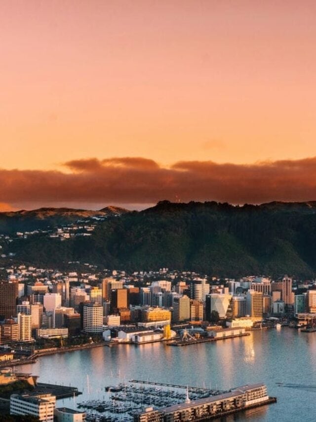 13 Countries That Will Pay You To Move There (Expat’s Picks) 12 Aerial View of Wellington New Zealand