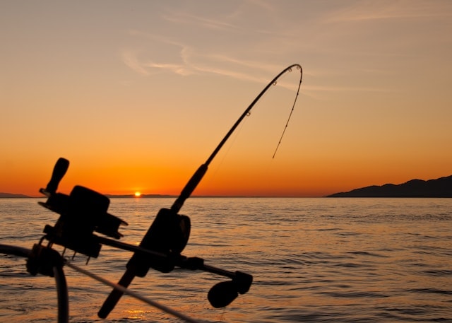 3 Best Whale Watching Tours In Tofino 9 A silhouette of a fishing rod captured during a sunset. This is the scenery in the Tofino Fisihing and Wildlife Charter.