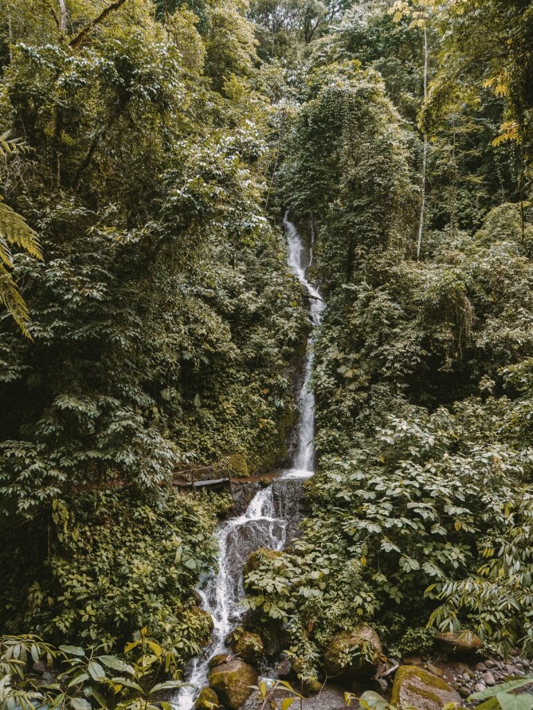 25 Pros and Cons of Living in Costa Rica in 2024 14 Thin waterfall running through the Costa Rican jungle