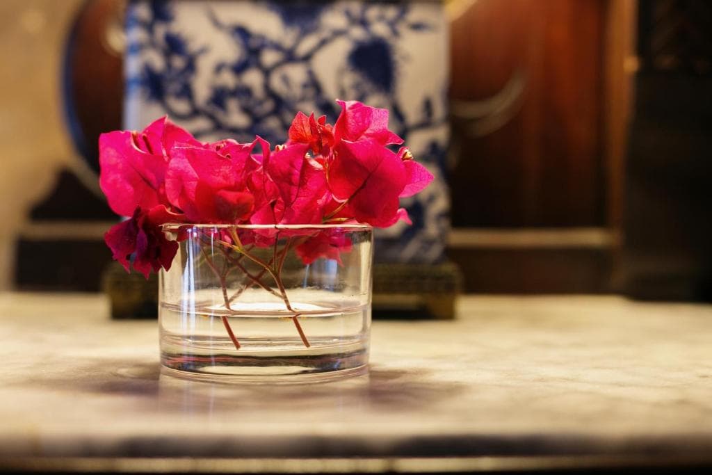 13 Best Hotels in Old San Juan, Puerto Rico 2024 8 A hot pink bougainvillea flower in a tiny flower vase placed on a marble countertop. The Villa Herencia Hotel is one of the best hotels in Old San Juan Puerto Rico.
