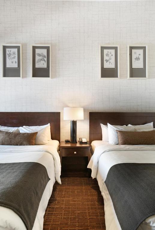 Where to Stay in Banff National Park: 18 Best Hotels (2024) 12 Two single beds with a bedside table and a lamp in between. The walls are covered with white wallpaper and a brown carpeted floor. This is in Banff Inn, an option if you're wondering where to stay in Banff national Park.