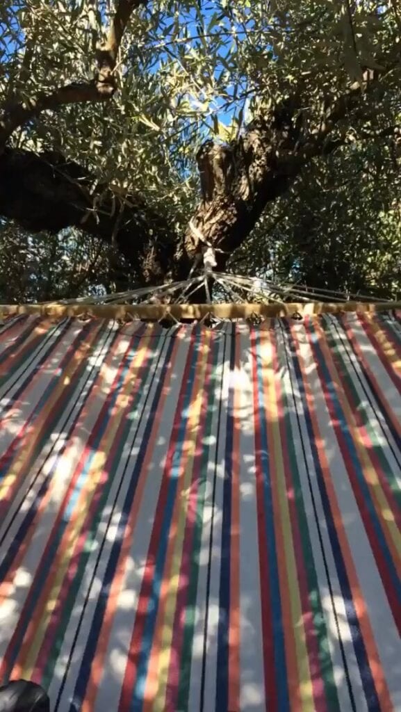 27 Pros and Cons of Living in Spain in 2024 8 The Hammock where Nina spent most of her time when she lived in Spain in the backyard of her house in Benisiva