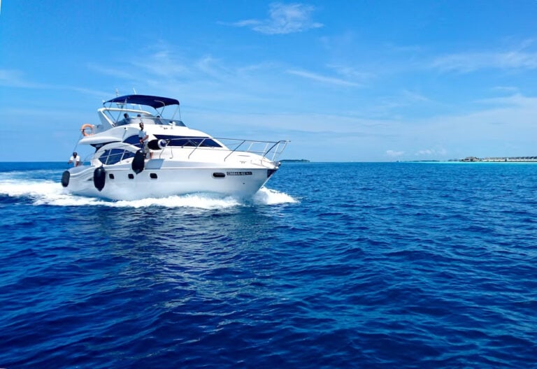 11 Best Toronto Island Boat Tours (2024 Locals Guide) 6 11 Best Toronto Island Boat Tours (2024 Locals Guide)