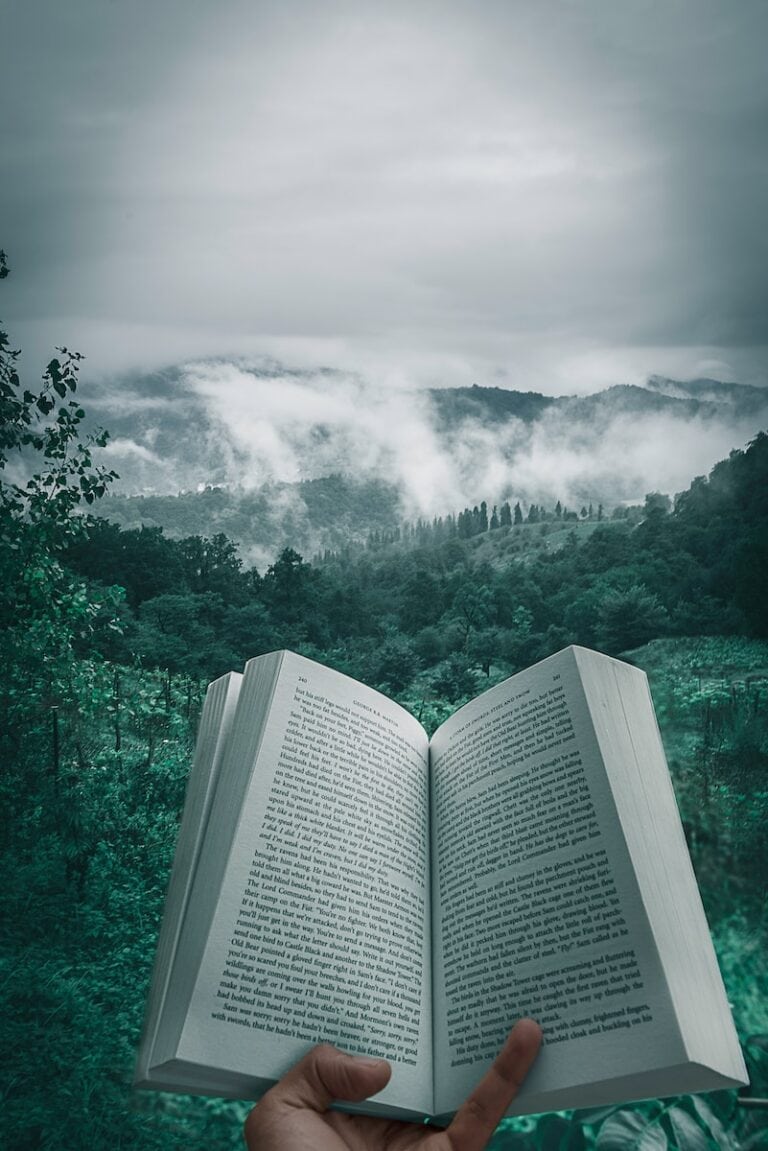 19 Best Books About Moving Abroad (Updated 2024) 9 person holding open book viewing mountain view