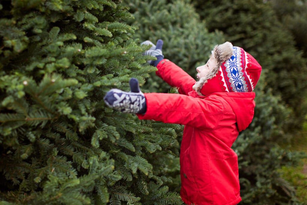 These 5 Christmas Tree Farms Near Toronto Are Dog Friendly 3 Depositphotos 171065412 XL