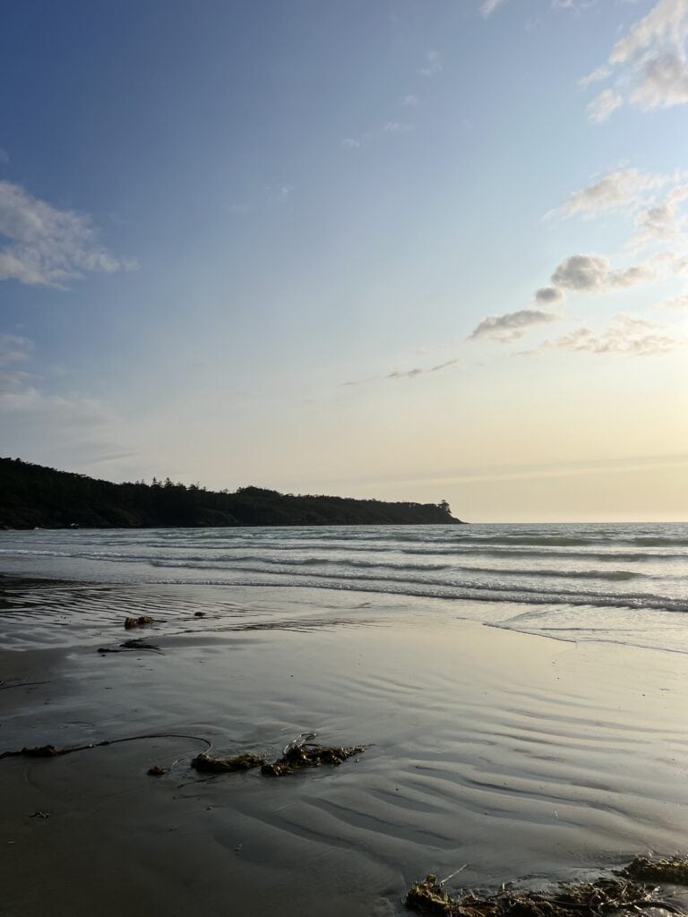 14 Best Tofino Camping Spots (2024) 5 Surf Grove Beach in Tofino at sunset with the wave lapping at the sandy shore.