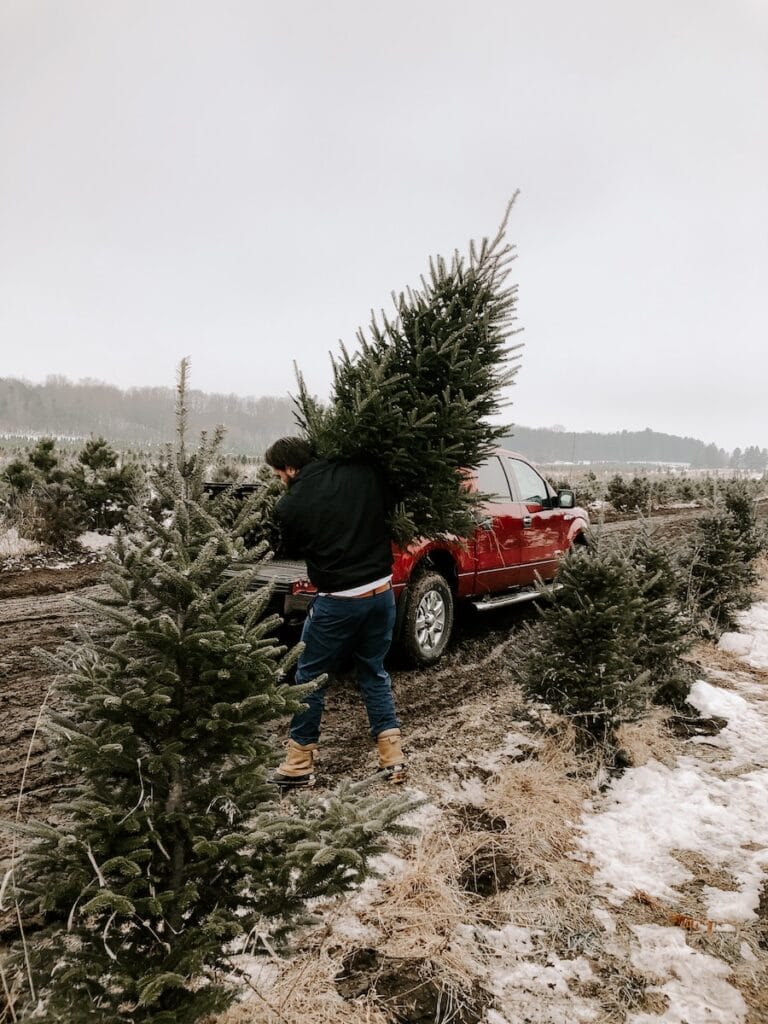 These 5 Christmas Tree Farms Near Toronto Are Dog Friendly 2 man carrying christmas tree