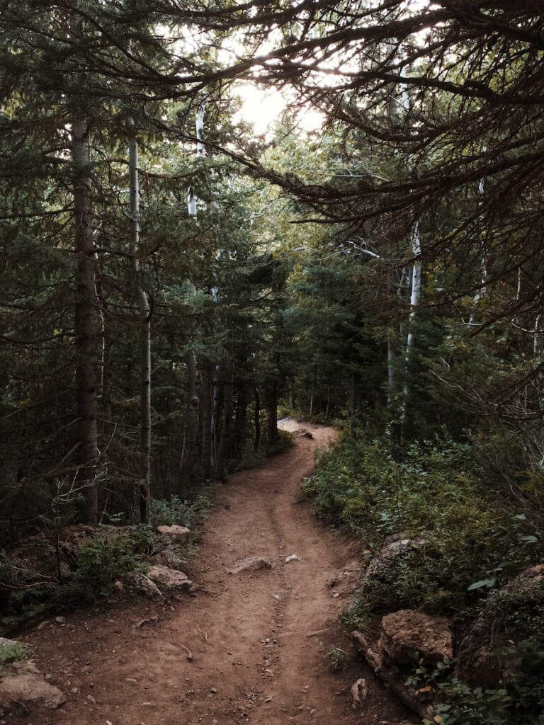 25 Pros and Cons of Living in Utah 2024 8 brown dirt road in between green trees during daytime