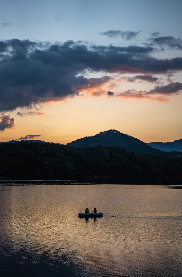 29 Pros and Cons of Living in Virginia in 2024 8 silhouette of people riding boat on lake during sunset in Virginia