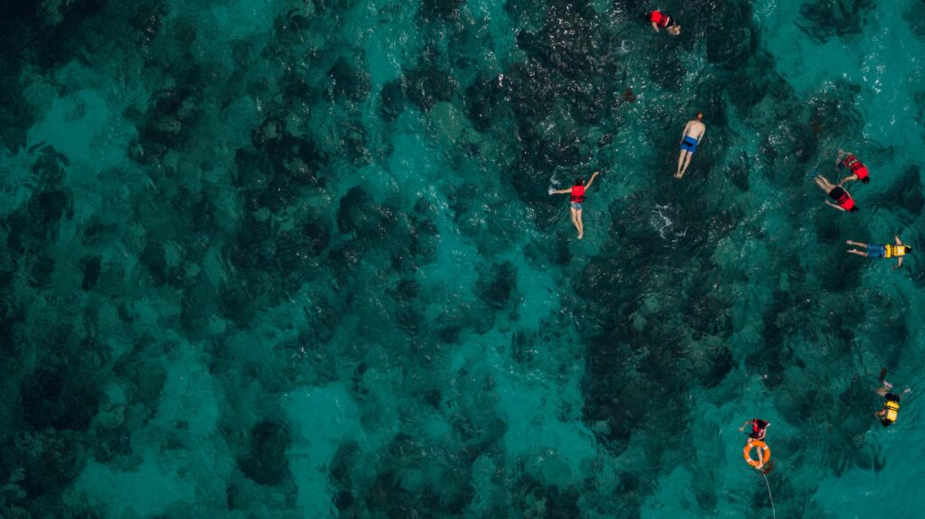 17 Best Snorkeling Tours in Puerto Rico in 2024 15 People Snorkeling In The Sea