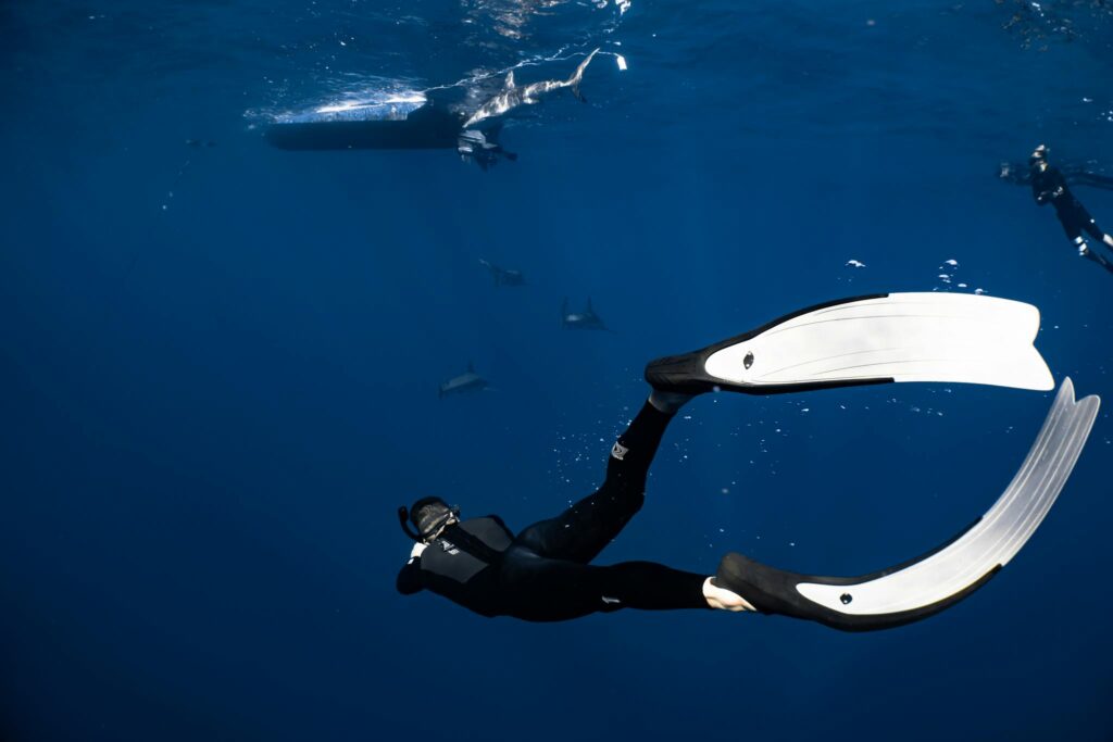 17 Best Snorkeling Tours in Puerto Rico in 2024 8 Back view anonymous diver wearing wetsuit and flippers swimming in dark blue seawater