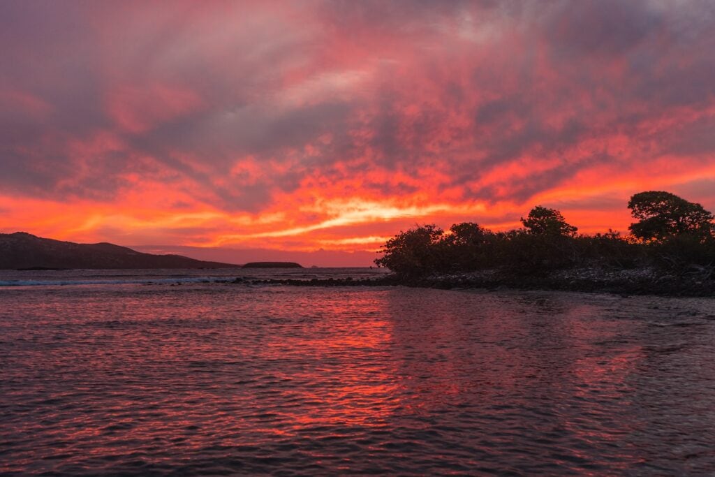 17 Best Snorkeling Tours in Puerto Rico in 2024 14 silhouette of trees near body of water during sunset