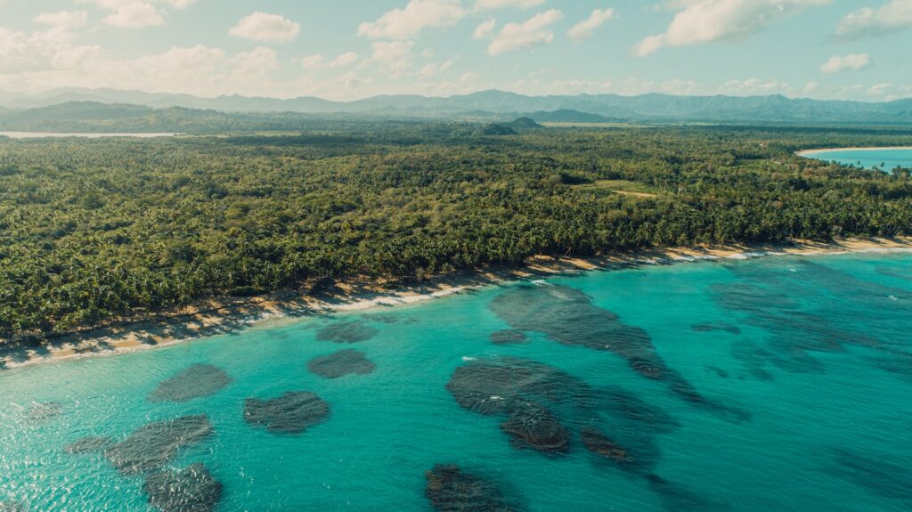 These Were the Most Popular Travel Destinations in 2023, According to Google Trends 5 green trees near blue body of water during daytime in the Dominican Republic.