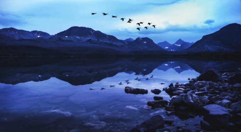 These are the Best Outdoor Adventures Near the US/Canada Border 1 birds flying over the lake at Glacier National Park.