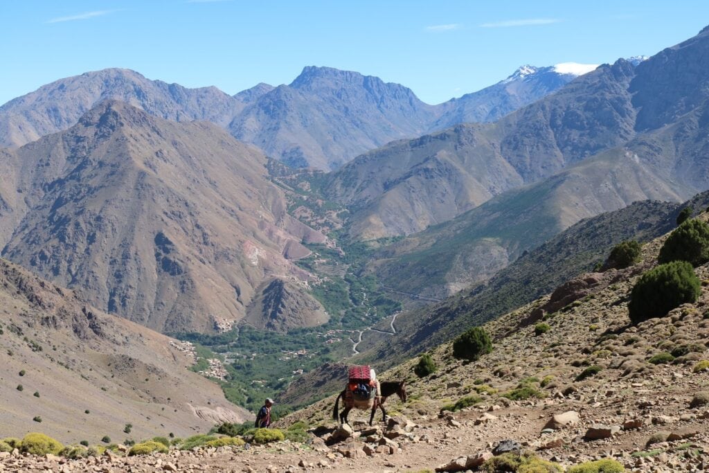 11 Best Cooking Classes in Marrakech in 2024 4 brown horse and man on green field viewing mountain under blue and white skies