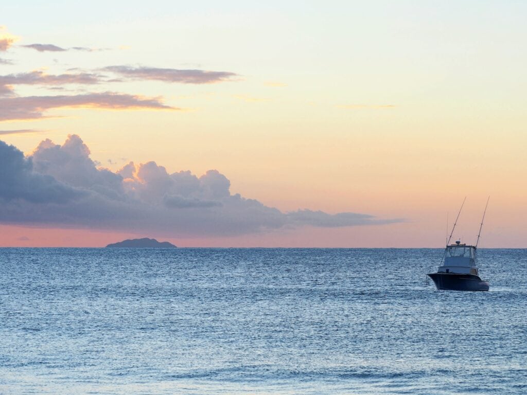 17 Best Snorkeling Tours in Puerto Rico in 2024 20 silhouette of boat on sea during sunset