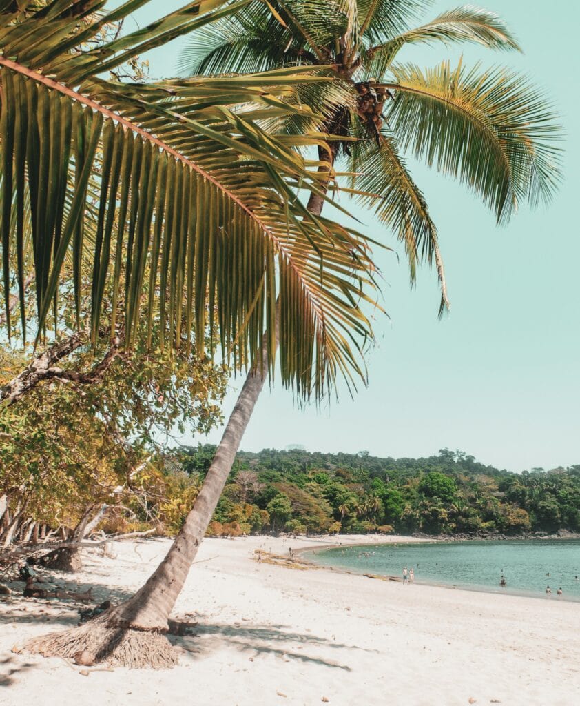 14 Top Freelance Visa Countries To Live And Work In 2024 14 The beach with coconut trees at Costa Rica.