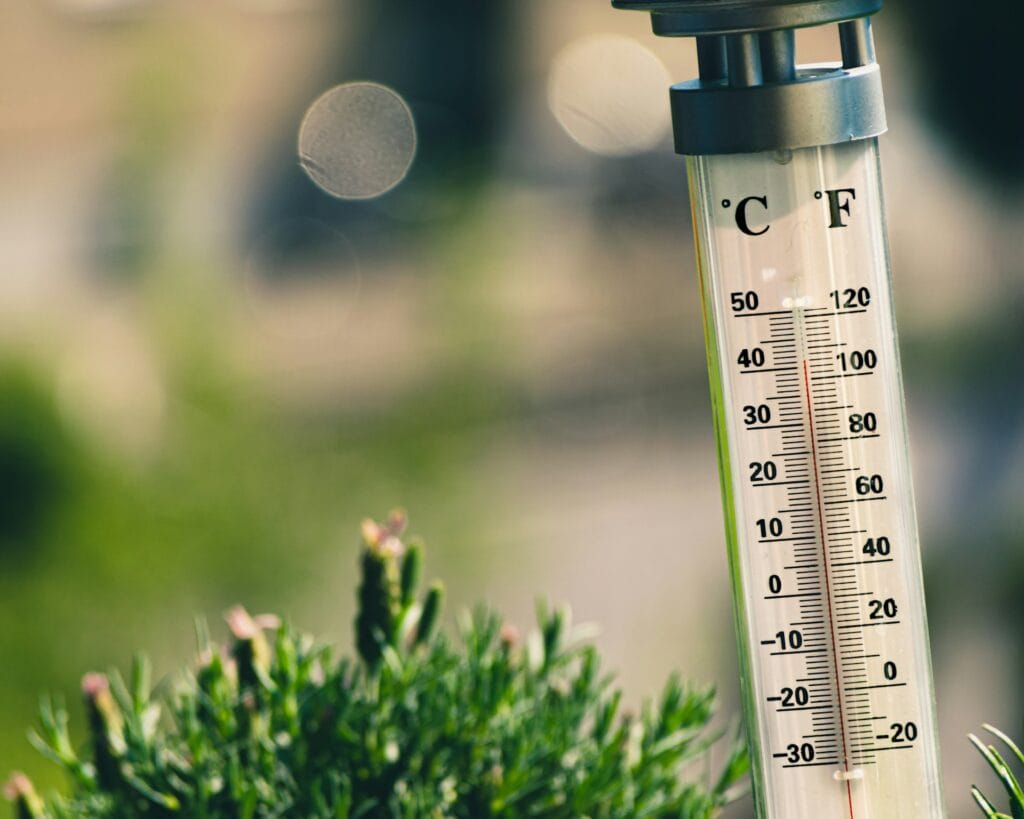 20 Reasons Not to Live in the US (2024) 20 A close up photo of a thermometer beside a plant.