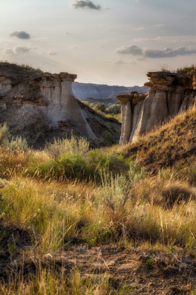 9 Must-See Natural Wonders in Canada That Are Perfect for Your Winter Getaway 8 The grassy area overlooking the rock formations at Dinosaur Provincial Park.
