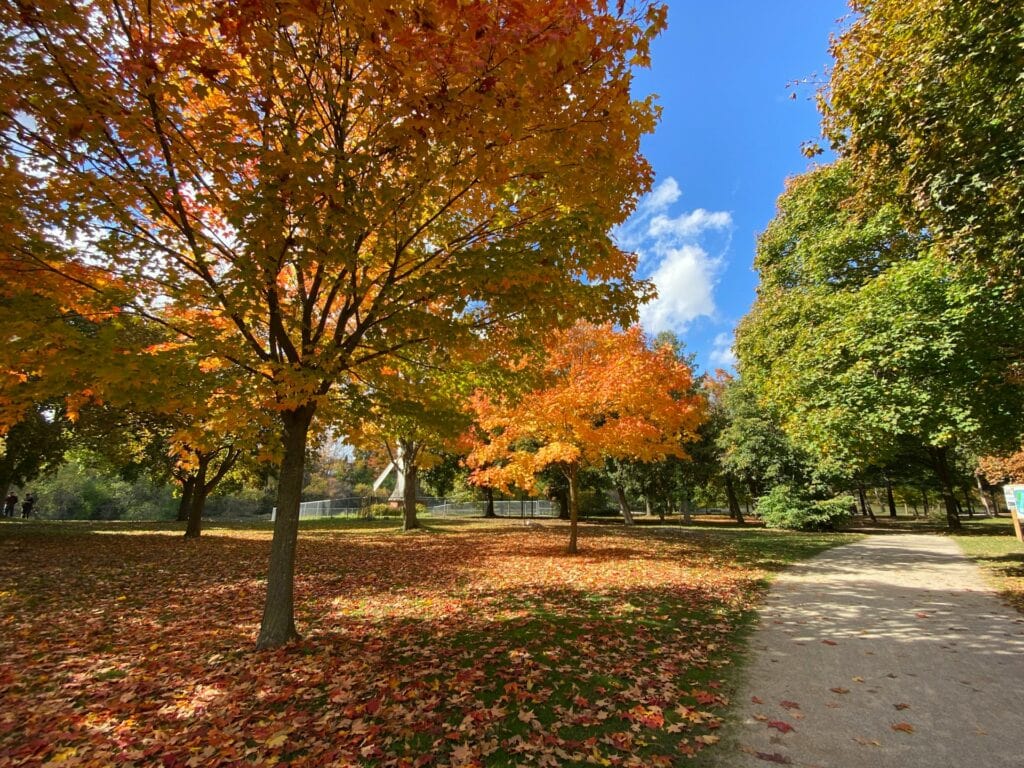 15 Best Places to Retire in Canada (From a Local Canadian!) 7 A park in Guelph covered in orange leaves during autumn.