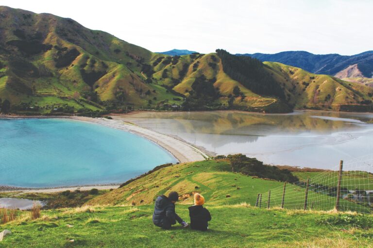 New Zealand Paying People To Move There: 2024 Guide
