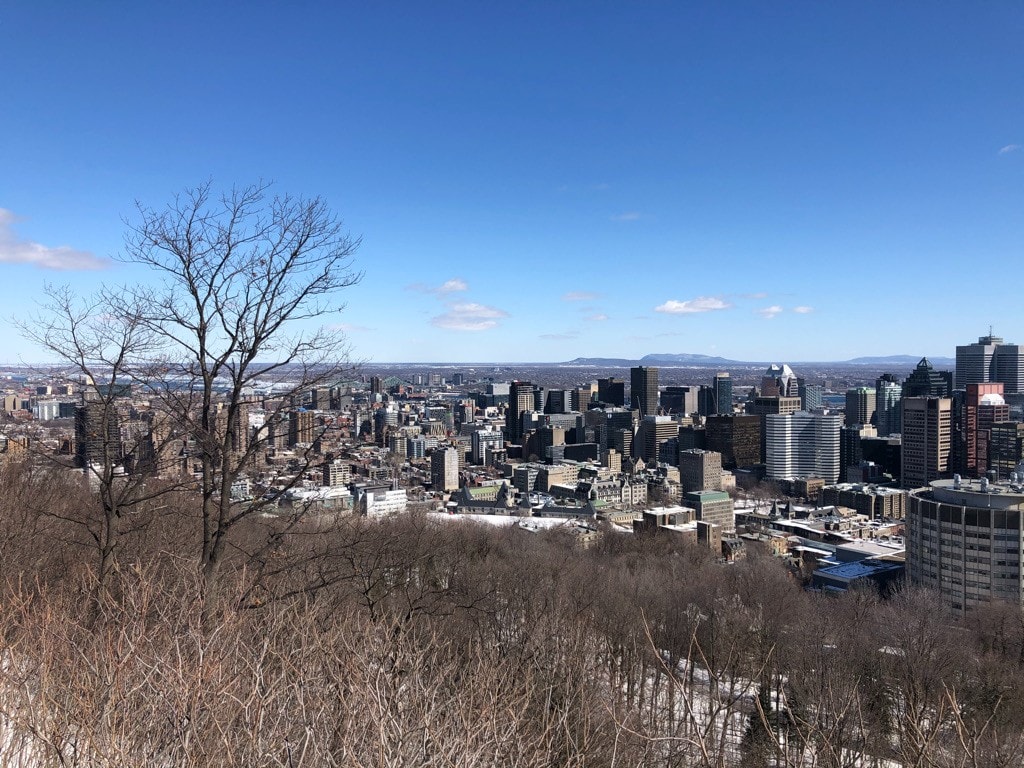 17 Reasons Not to Move to Canada in 2024 8 hazey view of a canadian city downtown on a winter day