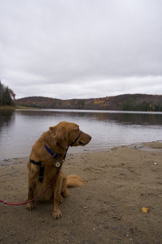 theo lake arrowhead park